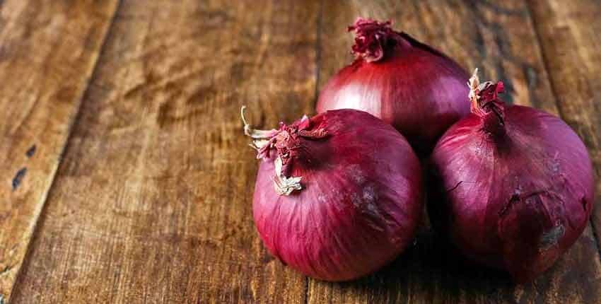 Red Wethersfield Spring Onions