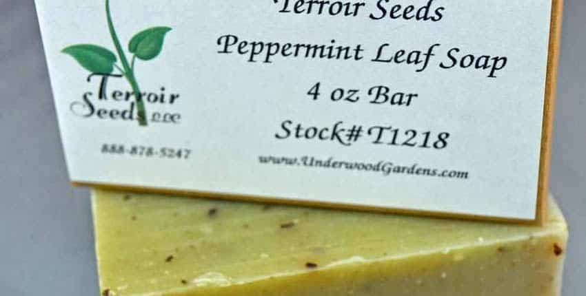 Handmade Organic Peppermint Soap