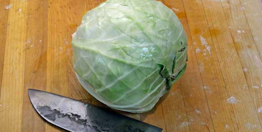 Danish Ballhead Cabbage