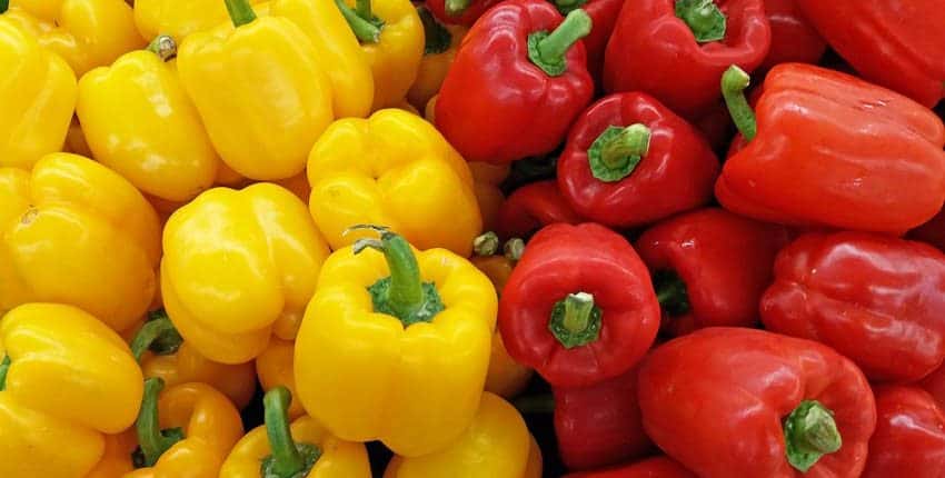 Red and Yellow Bell Peppers