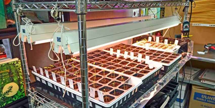 Grow Rack